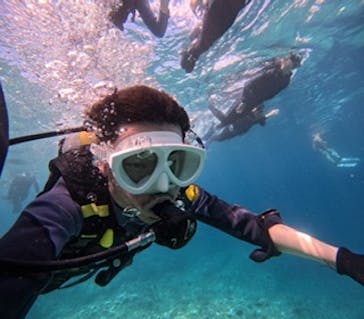 沖縄マリンサービス碧に投稿された画像（2024/8/25）