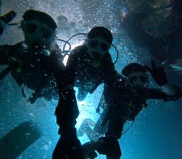 沖縄マリンサービス碧に投稿された画像（2024/8/25）