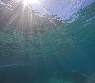 沖縄マリンサービス碧に投稿された画像（2024/8/25）