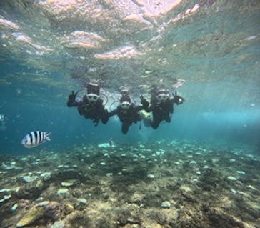 沖縄マリンサービス碧に投稿された画像（2024/8/25）