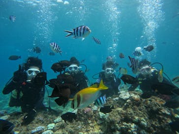 沖縄マリンサービス碧に投稿された画像（2024/8/25）