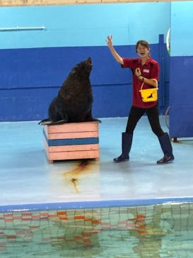 ゼロ距離水族館 伊勢シーパラダイスに投稿された画像（2024/8/25）