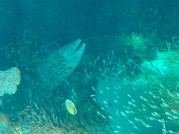 環境水族館アクアマリンふくしまに投稿された画像（2024/8/25）