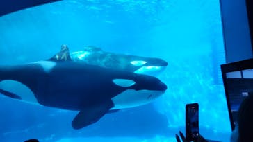 名古屋港水族館に投稿された画像（2024/8/25）