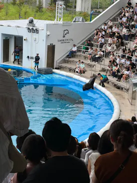 仙台うみの杜水族館に投稿された画像（2024/8/25）