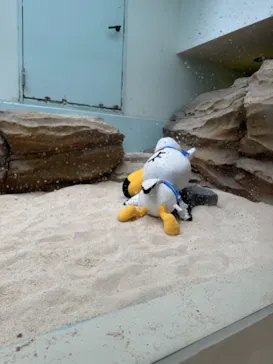 仙台うみの杜水族館に投稿された画像（2024/8/25）
