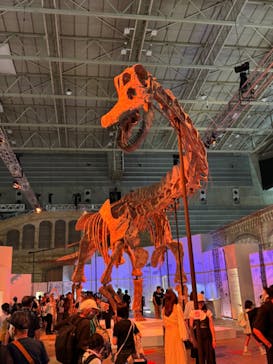 巨大恐竜展2024に投稿された画像（2024/8/25）