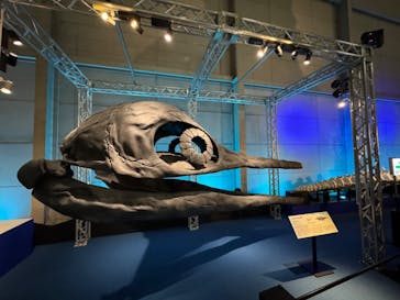 巨大恐竜展2024に投稿された画像（2024/8/25）