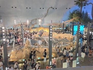福井県立恐竜博物館に投稿された画像（2024/8/25）