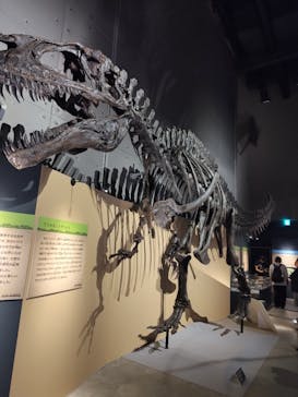 福井県立恐竜博物館に投稿された画像（2024/8/25）