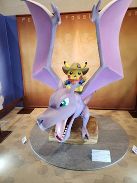 岐阜県博物館に投稿された画像（2024/8/25）