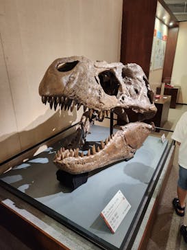 岐阜県博物館に投稿された画像（2024/8/25）