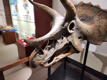 岐阜県博物館に投稿された画像（2024/8/25）