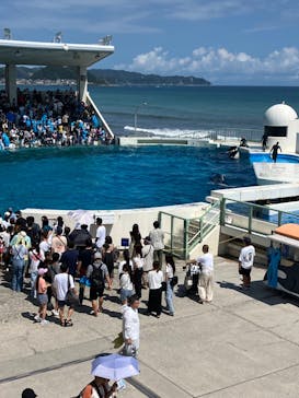 鴨川シーワールドに投稿された画像（2024/8/25）