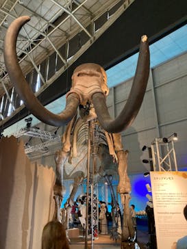 巨大恐竜展2024に投稿された画像（2024/8/25）