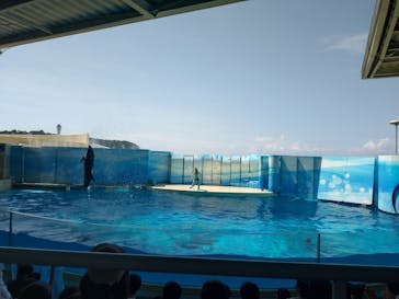 新江ノ島水族館に投稿された画像（2024/8/25）