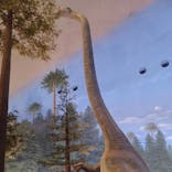 福井県立恐竜博物館に投稿された画像（2024/8/25）