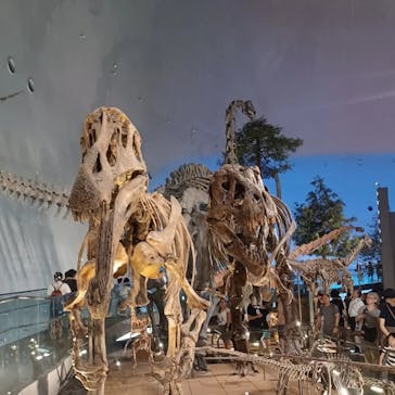 福井県立恐竜博物館に投稿された画像（2024/8/25）