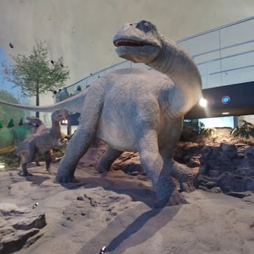 福井県立恐竜博物館に投稿された画像（2024/8/25）