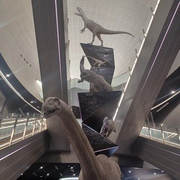 福井県立恐竜博物館に投稿された画像（2024/8/25）