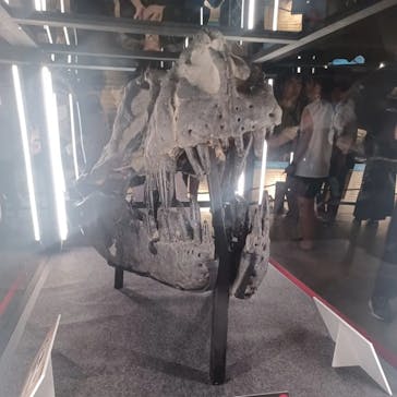 福井県立恐竜博物館に投稿された画像（2024/8/25）