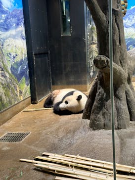 恩賜上野動物園に投稿された画像（2024/8/25）