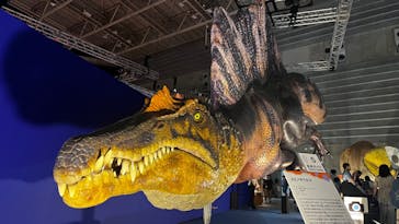 巨大恐竜展2024に投稿された画像（2024/8/25）