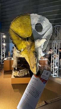 巨大恐竜展2024に投稿された画像（2024/8/25）
