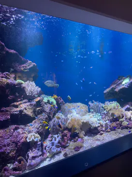 仙台うみの杜水族館に投稿された画像（2024/8/25）