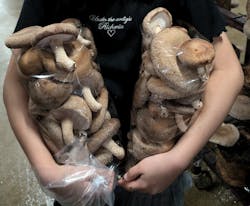 トクリン　こんどうちゃんきのこ農園に投稿された画像（2024/8/25）