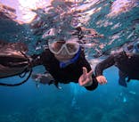 DIVING-SHOP SUNSに投稿された画像（2024/8/25）