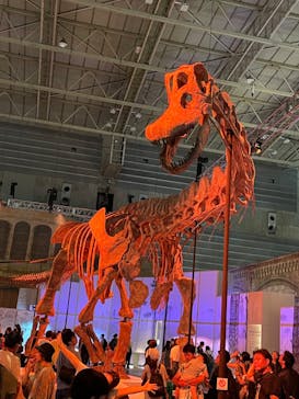 巨大恐竜展2024に投稿された画像（2024/8/25）