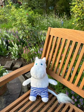 ムーミンバレーパークに投稿された画像（2024/8/25）