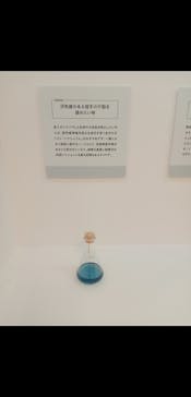 におい展2に投稿された画像（2024/8/25）