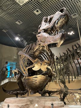 国立科学博物館に投稿された画像（2024/8/25）