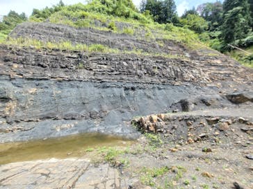 福井県立恐竜博物館に投稿された画像（2024/8/25）