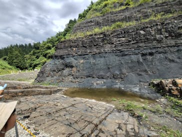 福井県立恐竜博物館に投稿された画像（2024/8/25）