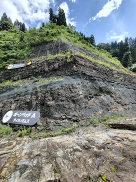 福井県立恐竜博物館に投稿された画像（2024/8/25）