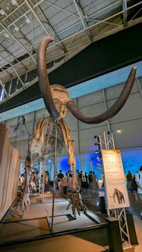 巨大恐竜展2024に投稿された画像（2024/8/25）