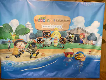 仙台うみの杜水族館に投稿された画像（2024/8/25）