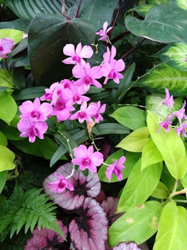 安城産業文化公園デンパークに投稿された画像（2024/8/25）