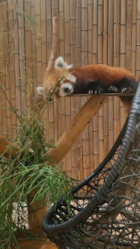 熱川バナナワニ園に投稿された画像（2024/8/25）