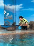 しながわ水族館に投稿された画像（2024/8/25）