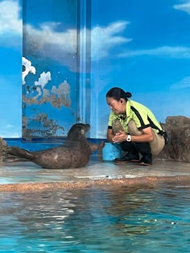 しながわ水族館に投稿された画像（2024/8/25）