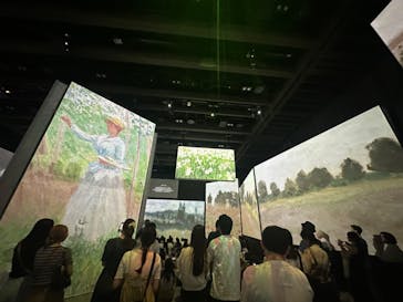 モネ＆フレンズ・アライブに投稿された画像（2024/8/25）