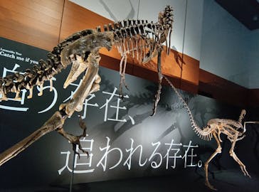 DinoScience 恐竜科学博 ～ララミディア大陸の恐竜物語～ 2024@OSAKAに投稿された画像（2024/8/25）