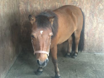 ノーザンホースパークに投稿された画像（2024/8/25）