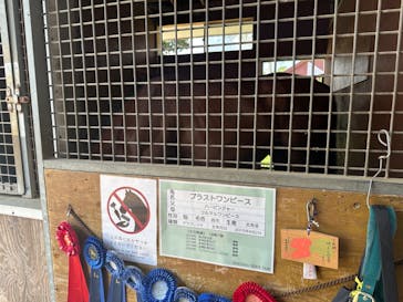 ノーザンホースパークに投稿された画像（2024/8/25）