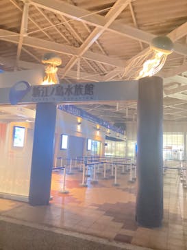 新江ノ島水族館に投稿された画像（2024/8/25）