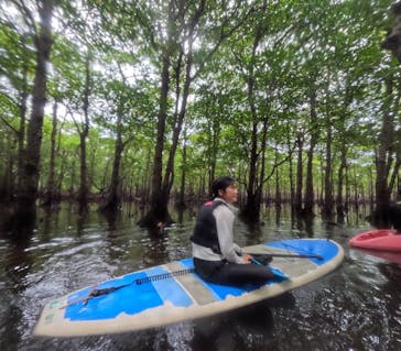 西表島 ADVENTURE PiPi（アドベンチャーピピ）に投稿された画像（2024/8/25）